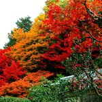 경관이 잘나와서 올립<b>니더</b>예8