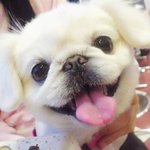 얼짱<b>나리</b>를 소개합니다~
