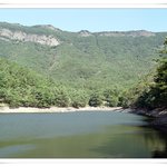 붕생<b>붕사</b>1