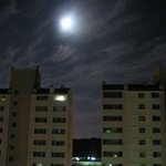 <b>달빛</b> 아래서