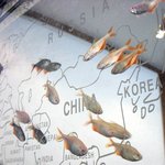 <b>본죽</b>