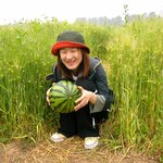 <b>수박</b> 사세요!!!