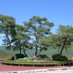 더 이상은 안올립<b>니더</b>예11