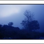 <b>안개</b>낀 산5