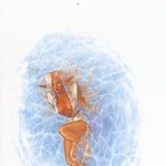 <b>record</b> of lodoss war 059