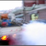 우리들의 영원한 <b>bf</b>