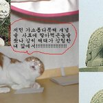 야쿠자 고양이 아서라 <b>가소</b>롭다-_-!