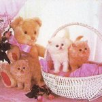 <b>야옹</b>이 단체 사진.. 어떤게 인형이구 어떤게 <b>야옹</b>이지??
