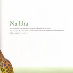 <b>record</b> of lodoss war 118