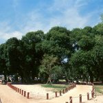 천연기념물 403호 - <b>성주</b> 경산리 성밖 숲