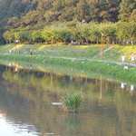 분당 구미동 <b>탄천</b>에서 낚시 풍경