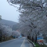 봐줄만해서 올립<b>니더</b>예28