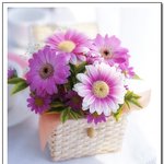 <b>화분</b>속의 작은 꽃7