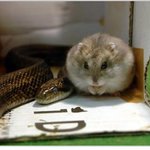 <b>살벌</b>한 功生