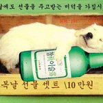 <b>복날</b>을 기다리며