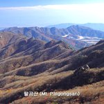 대구<b>팔공산</b>전경