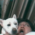 백구가 쥔님의 엽기<b>포즈</b>에 완전 쫄았어염^^*