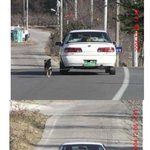 정말 인간쓰레기..
