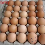 30.. 특허청의 나이도 계란 1판이네요.