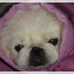이쁜<b>사강</b>이