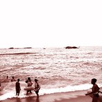 올해의 <b>바다</b> <b>사진</b>...