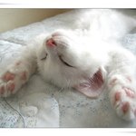 니들때문에 웃고<b>산다</b>