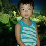 <b>성미</b>니 일본기