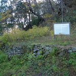 천연기념물 152호 - <b>남해</b> 산닥나무 자생지