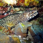 아름다운 바다 <b>생물</b> 07