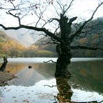 청송 주왕산 국립<b>공원</b> 주산지.