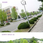 <b>충남</b>대 학교 사진들..