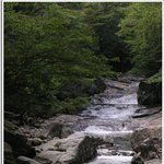 <b>지리산</b>에서