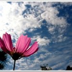 ...가을의 느낌을 �o<b>아서</b>...