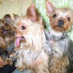 <b>알로</b>가족~