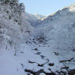 무릉계곡 <b>설경</b>