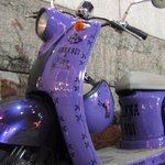 anna <b>sui</b> &amp; vino scooter 보신적 있나요?