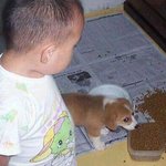 <b>눈칫밥</b>먹는 개