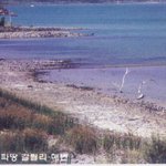 성지 <b>현지</b>에서... 3
