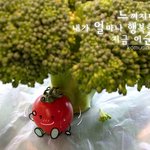 <b>쉼터</b>