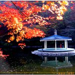 좀 더 올립<b>니더</b>예8