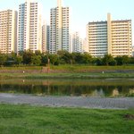 <b>탄천</b>에서 본 무지개 마을 풍경