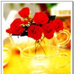 <b>화분</b>속의 작은 꽃10
