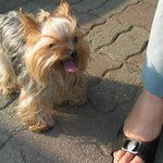 <b>알로</b> 독사진