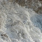 x-<b>mas</b>를 성우 스키장 에서 -1