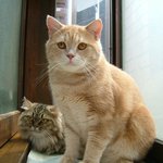 <b>새침</b>한척 하면서...