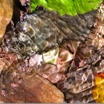 <b>여울</b> [3장]