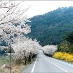좀 더 올립<b>니더</b>예4