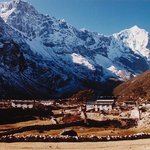 오랜만에 <b>올리</b>내예15