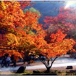 좀 더 올립<b>니더</b>예9