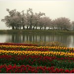 출사지(경남 <b>남해</b>) 06